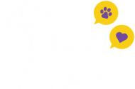 Psi Kusik - RÓŻNE KOLORY body dziecięce