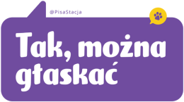 Tak, można pogłaskać - RÓŻNE KOLORY damska