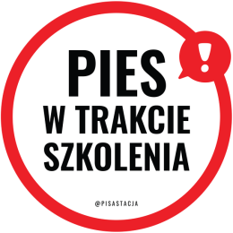 Pies w trakcie szkolenia - RÓŻNE KOLORY męska