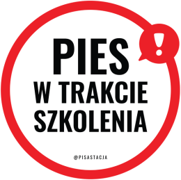 Pies w trakcie szkolenia - RÓŻNE KOLORY damska