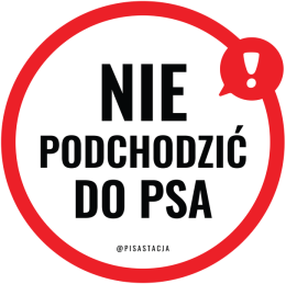Nie podchodzić do psa - RÓŻNE KOLORY męska