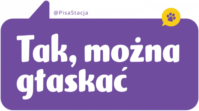 Tak, można pogłaskać - RÓŻNE KOLORY męska