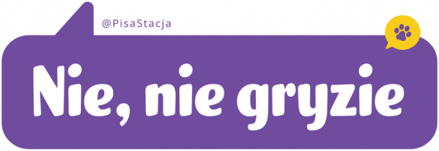 Nie, nie gryzie - RÓŻNE KOLORY męska