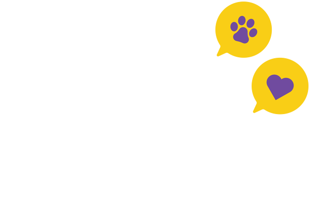 Psi Kusik - RÓŻNE KOLORY chłopięca