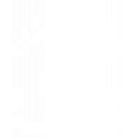 the world is yours 3 bluza