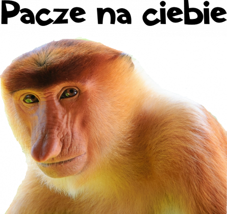 Koszulka Polak na wesoło