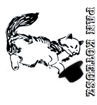 Pan Koteusz kot cat