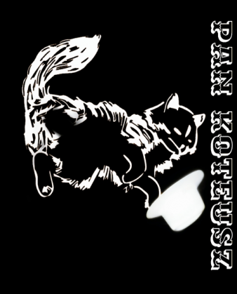 kot koty łapki cat cats serce heart