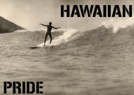 #HawaiianPRIDE_hoodie