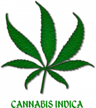 kubek biały cannabis indica