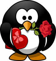 Zakochany pingwin