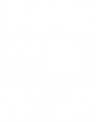 Born to be detailer