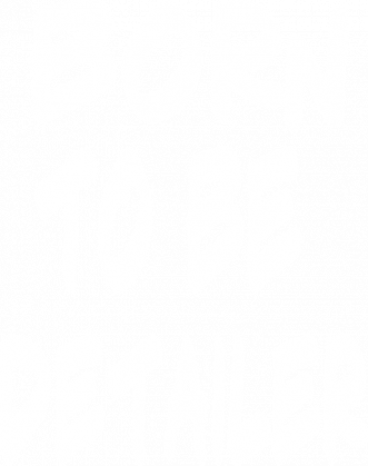 Born to be detailer
