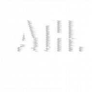 Koszulka z napisem "ATH. BORN TO TRAIN HARD"