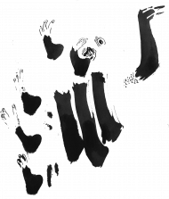 żółw
