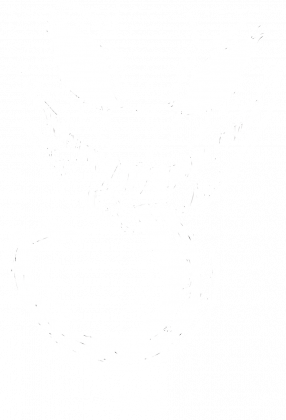 Venom Koszulka męska 2