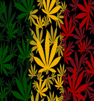 Bluza Fulprint Reggae GANJA marihuana