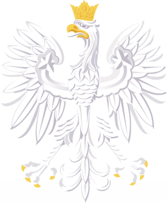 Polska Niepodległa Listopad