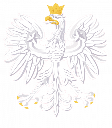 Bluza męska Orzeł herb Polski