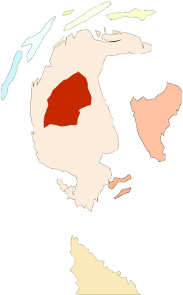 Bluza damska SON OF GOD Jezus syn boga