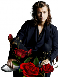 Harry Styles Roses