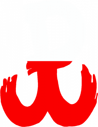 KOSZULKA POLSKA WALCZĄCA w barwach damska