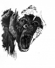 Co powiedziałeś? Babcia?