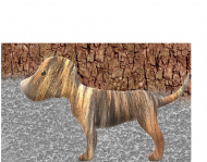 be creepy tee dog