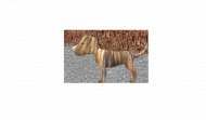 be creepy tee dog