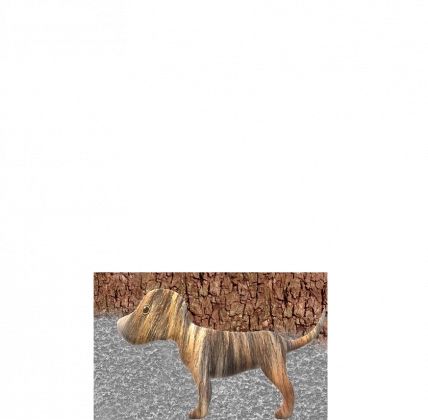 rules bag