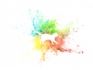 Splash Cat