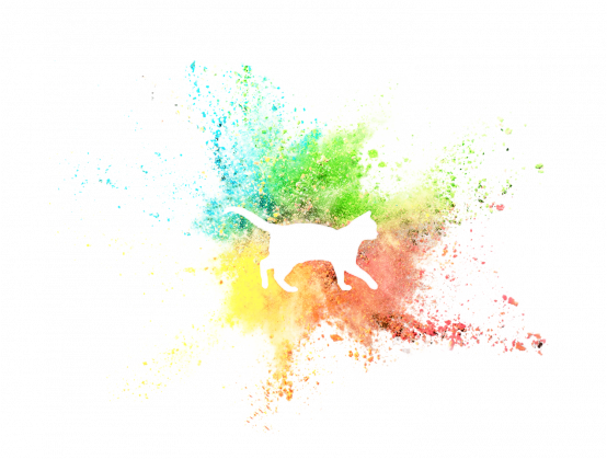 Splash Cat