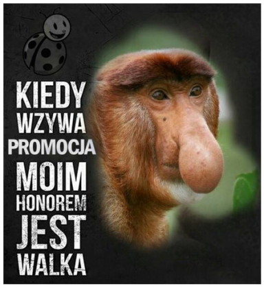 Kubek z memem "Kiedy promocja wzywa..."