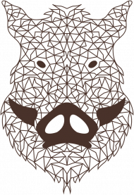 Dzik