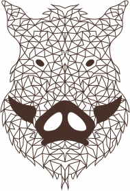 Dzik