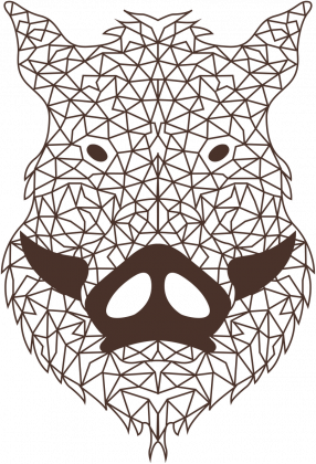 Dzik