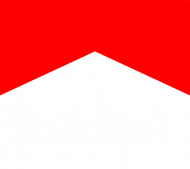 koszulka - kaszlę bo palę - biały txt