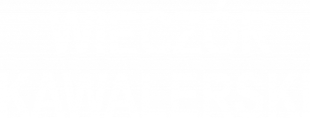 KOSZULKA Z NAPISEM