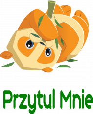 Koszulka Przytul Mnie