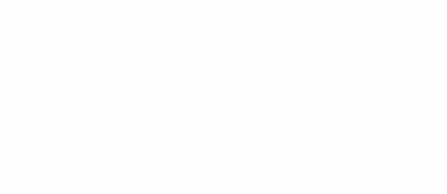 BlacikkWear - Logo /Koszulka