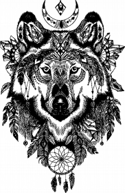 Wolves t-shirt damski white