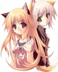 BLUZA MANGA DAMSKO MĘSKA