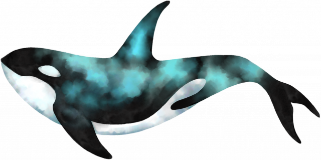 Orca orka