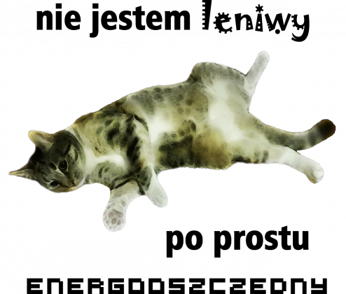 nie jestem leniwy tylko energooszczędny - mem z kotem