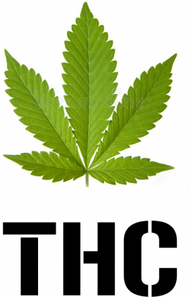 THC 420