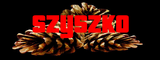 Szyszek