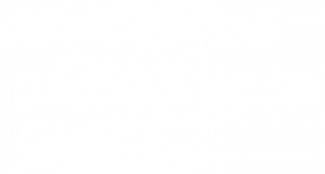 Zed