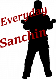 Bluza "Everyday Sanchin"