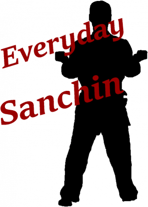 Bluza "Everyday Sanchin"