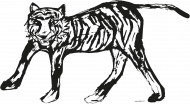 Tygrys bluza z kapturem, męska kangurka z nadrukiem tygrysa